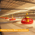 Complete poultry chicken farm equipment for broiler and breeders